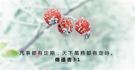 萬物皆有時意思|傳道書 3 ccbt